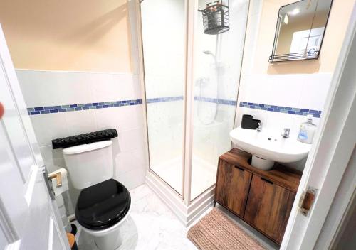 布里斯托Charming Flat in Central Bristol的带淋浴、卫生间和盥洗盆的浴室