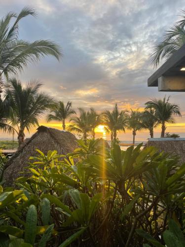 圣卡洛斯San Carlos Surf Resort & Eco Lodge的享有棕榈树海滩和日落美景