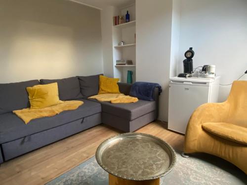阿纳姆Bed and breakfast Carma Arnhem的客厅配有蓝色的沙发和黄色的枕头。