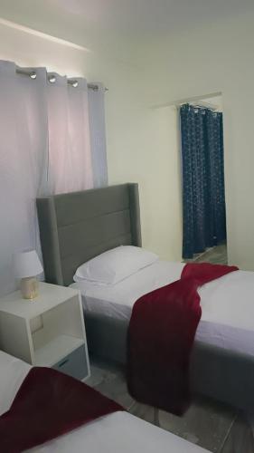 巴拉奥纳省圣克鲁斯Neo’s hotel的一间卧室设有两张床和一个带红色枕头的窗户。