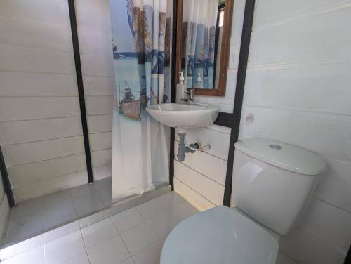 MacanalMamaterra Glamping的浴室配有白色卫生间和盥洗盆。