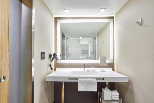 奥兰多奥兰多布恩纳维斯塔湖雷迪森酒店的一间带水槽和镜子的浴室