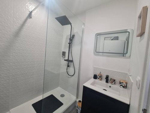 梅克西米约Bel Appartement Meximieux Centre Ville 2 chambres的带淋浴和盥洗盆的小浴室