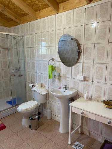 Bahía MurtaCabañas La Plaza的浴室配有卫生间、盥洗盆和淋浴。