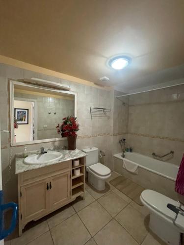 El GuinchoSunny apartament的浴室配有盥洗盆、卫生间和浴缸。