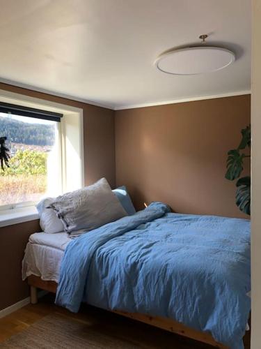 卑尔根Cosy aparment in Bergen的一间卧室配有一张带蓝色棉被的床和窗户。