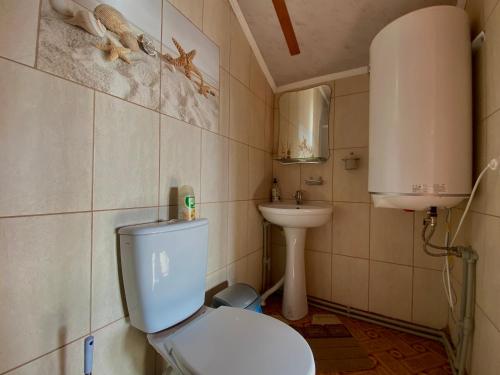 亚布卢尼齐亚Котедж Краєвид的一间带卫生间和水槽的浴室