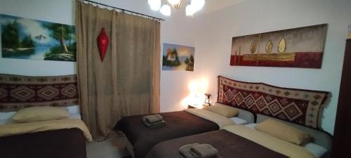 特里卡拉Trikala Apartments 2的一间卧室设有两张床和窗户。