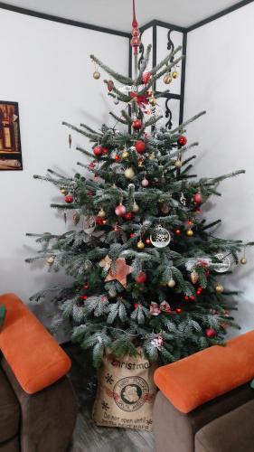 锡纳亚CASA de VIS的客厅里装饰着圣诞树的