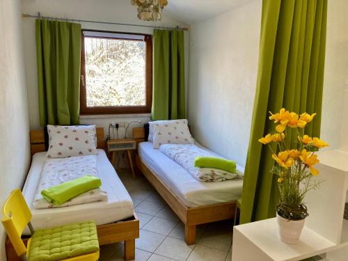 因斯布鲁克Wessely Appartements am Golfplatz的客房设有两张床和一个带绿色窗帘的窗户。