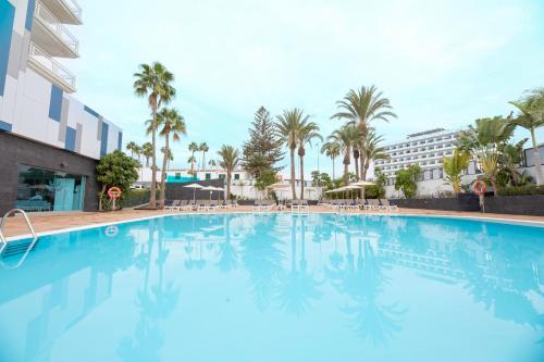 英格兰海滩拉布拉达玛丽塔公寓-仅限成人的一座棕榈树大型游泳池和一座建筑