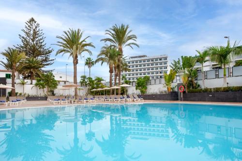 英格兰海滩拉布拉达玛丽塔公寓-仅限成人的棕榈树游泳池以及酒店