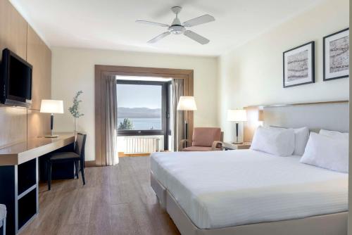 圣卡洛斯-德巴里洛切NH巴里洛切雪绒花酒店的配有一张床、一张书桌和一扇窗户的酒店客房