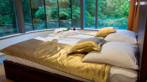 里姆斯克·托普利采Rimske Terme Resort - Vila Sisi的配有大窗户的客房内的一张大床