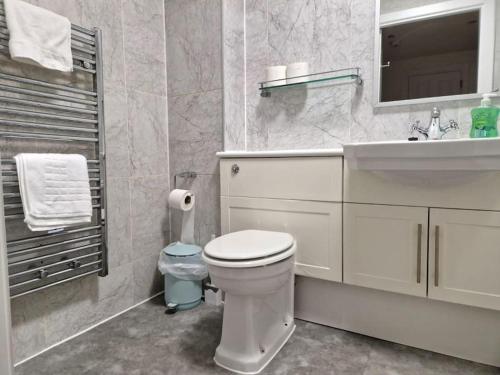 曼彻斯特Northern Quarter Flat的白色的浴室设有卫生间和水槽。