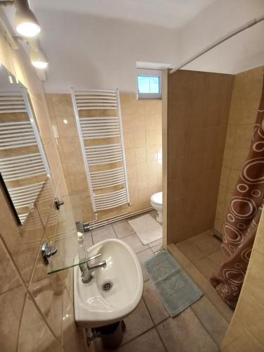 沙罗什保陶克Aquatherma Apartman的一间带水槽、淋浴和卫生间的浴室