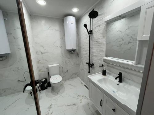 多斯帕特CHALET ELEVEN的白色的浴室设有卫生间和水槽。