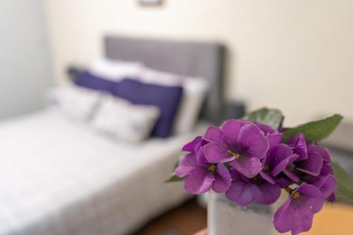 蒙得维的亚Coliving Med by Hotel Mediterràneo的一张桌子上白色花瓶里的紫色花
