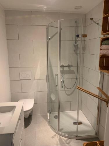 Berkel-EnschotB&B de Brem的带淋浴、卫生间和盥洗盆的浴室