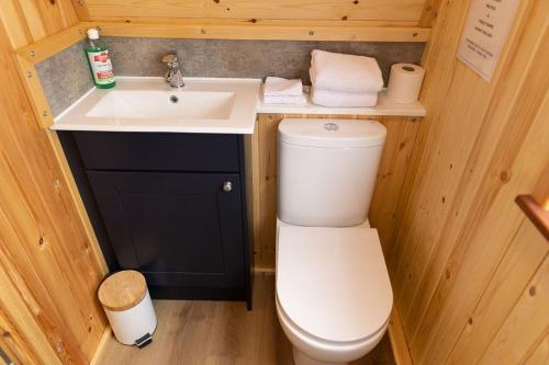 GalstonThistle Pod at Ayrshire Rural Retreats Farm Stay Hottub Sleeps 2的一间带卫生间和水槽的小浴室