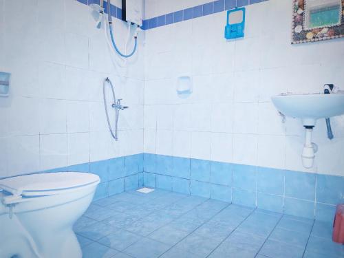 乌鲁地南Zulaikha's Homestay Ulu Tiram Johor Bahru的一间带卫生间和水槽的浴室
