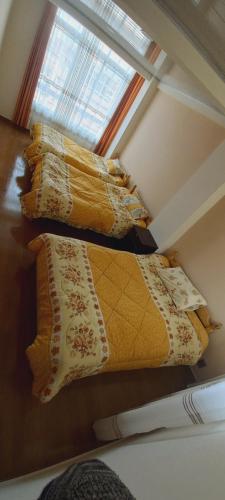 奥鲁罗Sofia的客房设有三张床、枕头和窗户。
