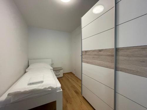索尔登International House Sölden Apartment mit 3 Schlafzimmern ZW AP 6的一间带一张床和一个衣柜的小卧室