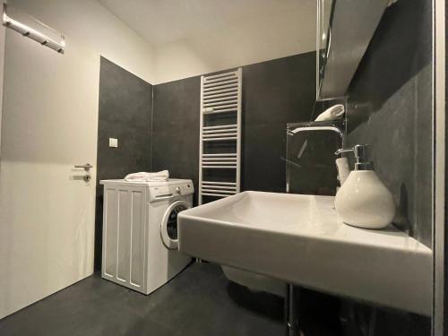 布雷根茨Stylische Wohnung mitten in der Stadt Bregenz的一间带水槽和洗衣机的浴室