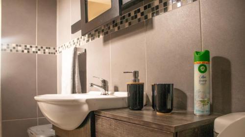 塞昆达Leipoldt Self-Catering Apartment的一间带水槽和卫生间的浴室