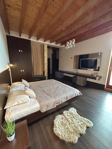 科希策AR GOLDEN HOUSE的一间卧室配有一张大床和一台平面电视