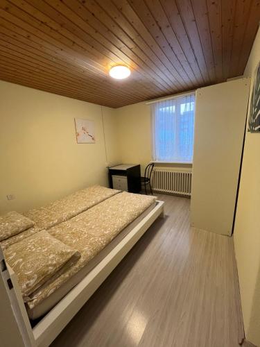 NiederdorfNiederdorf, Baselland Hotel的一间卧室配有一张床、一张书桌和一个窗户。