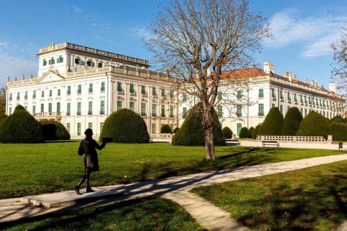 FertőszentmiklósLuxury Home with Jakuzzi near Neusiedler See的走在大建筑前面的人