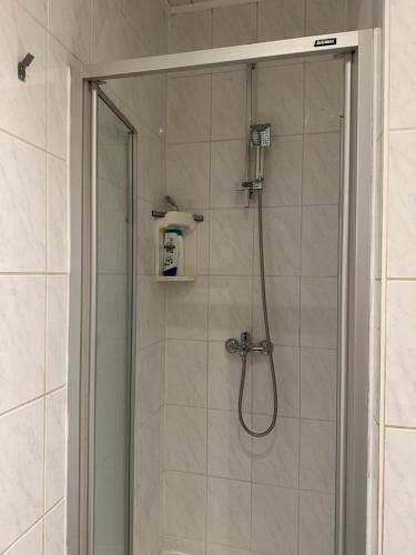 安特卫普Bnb Antwerp SportPlaza的带淋浴的浴室,带玻璃门