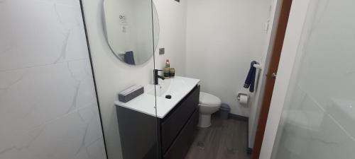 麦德林Bonito y cómodo apartamento cerca a Plaza Mayor的一间带水槽、镜子和卫生间的浴室