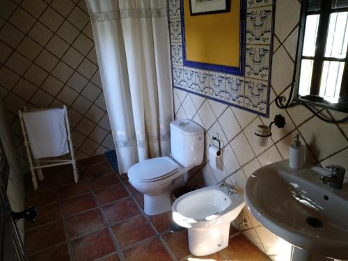 莫内斯特里奥CASA RURAL LA CABRA DEL MEDIO的一间带卫生间和水槽的浴室