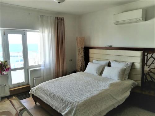 敖德萨别拉亚乌达查酒店的一间卧室设有一张床和一个大窗户