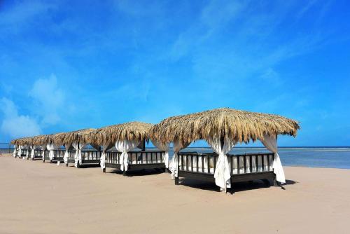 沙姆沙伊赫施泰根贝格尔城堡阿尔卡扎度假屋的海滩上的一排草伞