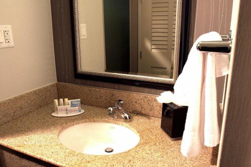 亚特兰大万怡酒店亚特兰大诺斯莱克的一间带水槽和镜子的浴室