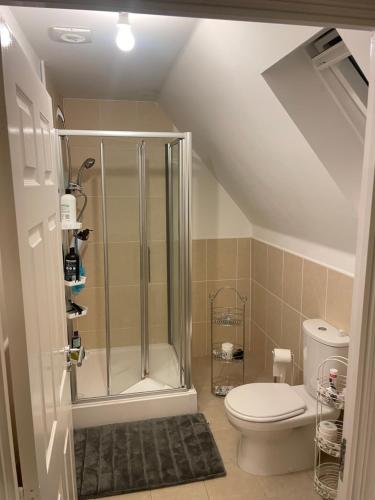 Blunsdon Saint AndrewBeanie’s North Swindon DoubleBed的带淋浴和卫生间的浴室