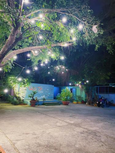 头顿Thùng Thép Homestay的公园里,晚上有灯挂在树上