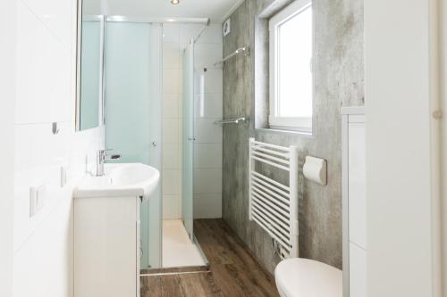 WekeromPark Berkenrhode的浴室配有卫生间、盥洗盆和淋浴。