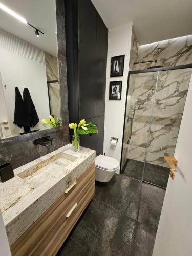 米兹多洛杰WAVE 10th Floor Baltic View的一间带水槽、卫生间和淋浴的浴室