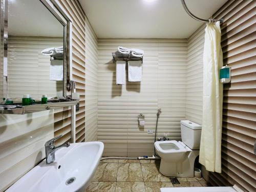 巴库Khegany Mall Hotel的一间带水槽和卫生间的浴室