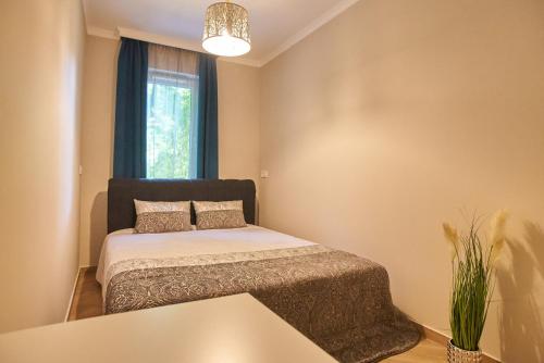 塞格德Sunlight Silver Plus Szeged - Exclusive的一间卧室设有一张床和一个窗口