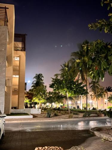 塞拉莱Hawana salalah Apartment的棕榈树建筑的夜景