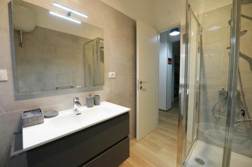 罗马Apartment Cinecittà的一间带水槽和淋浴的浴室