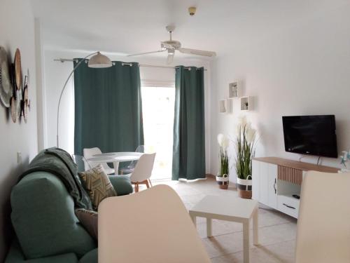 阿罗纳CASA PARAISO的客厅配有绿色沙发和电视