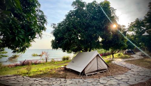 The Secret Garden Camping - Hồ Trị An的水边树下的帐篷