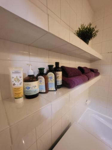 布拉迪斯拉发Apartmán George的浴室架设有肥皂和水槽