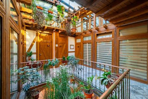 大特尔诺沃Guest house Diabora-Veliko Tarnovo的种满了植物的阳台